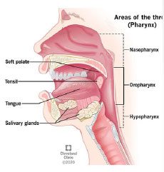 HPV Throat Image