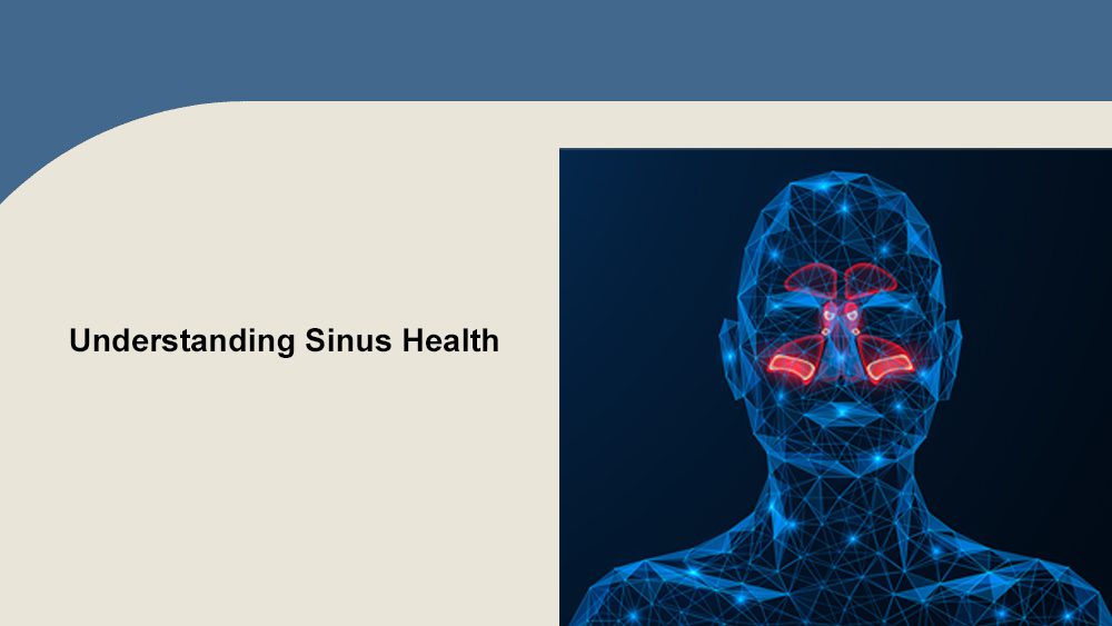 Sinus Health Image